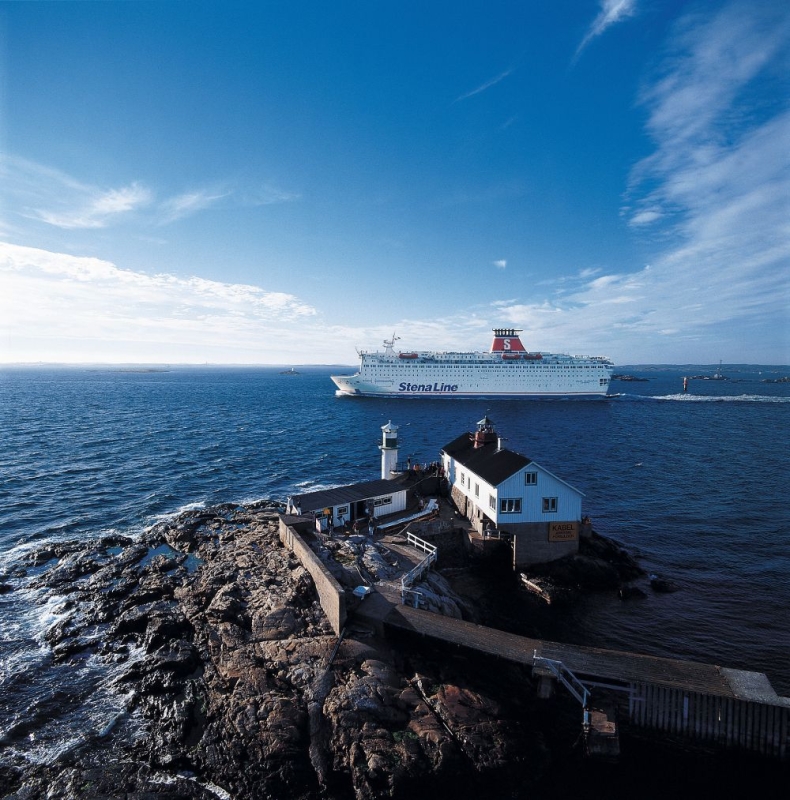 Delfiny u wybrzeży Karlskrony - GospodarkaMorska.pl