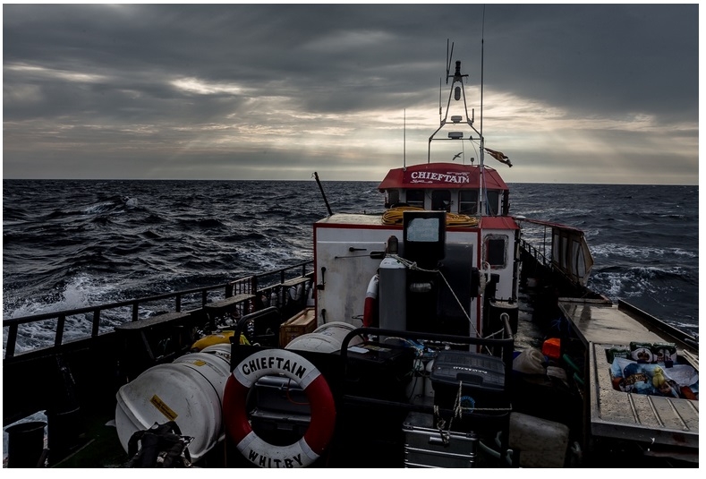„Przeczesując morze krok po kroku, pas po pasie” – wywiad z Hubertem Jando, uczestnikiem wyprawy Santi - odnaleźć Orła - GospodarkaMorska.pl