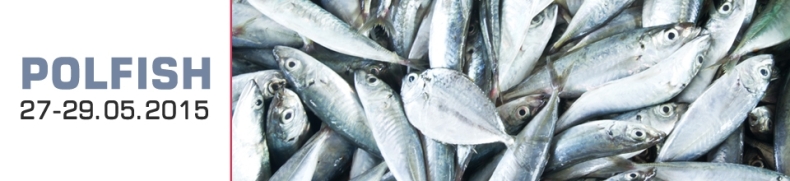 Największa rybna impreza w Polsce - GospodarkaMorska.pl