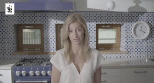 Wybierz śledzia zamiast halibuta - GospodarkaMorska.pl