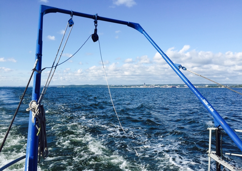 Znikają ryby w Zatoce Puckiej. Czy winna jest solanka zrzucana do wody przez PGNiG? - GospodarkaMorska.pl