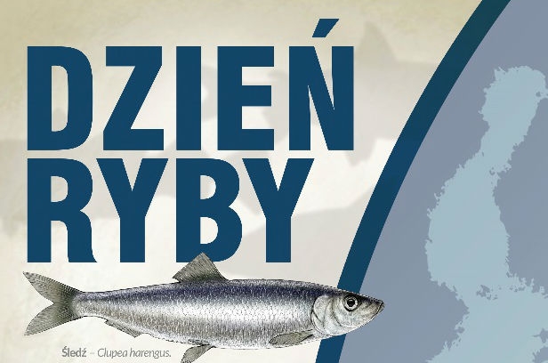 W ten weekend „Dzień ryby” w Helu - GospodarkaMorska.pl