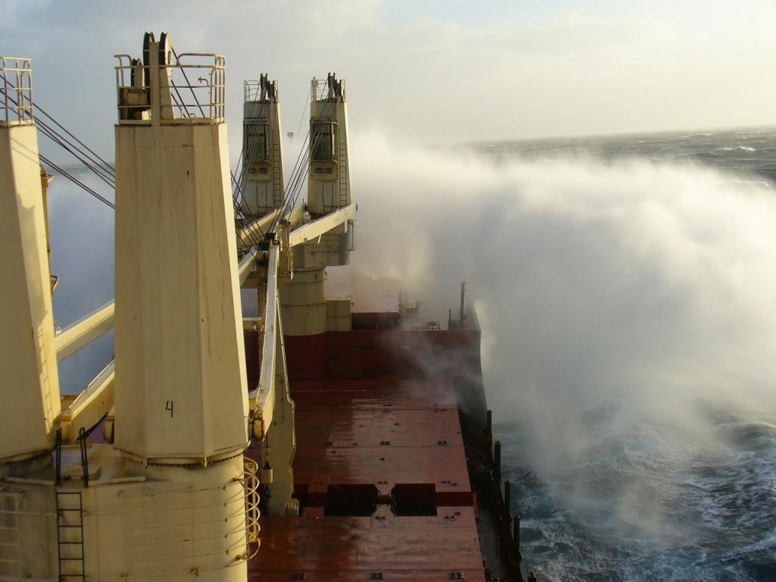 Litewski armator masowców jednak uniknie bankructwa - GospodarkaMorska.pl