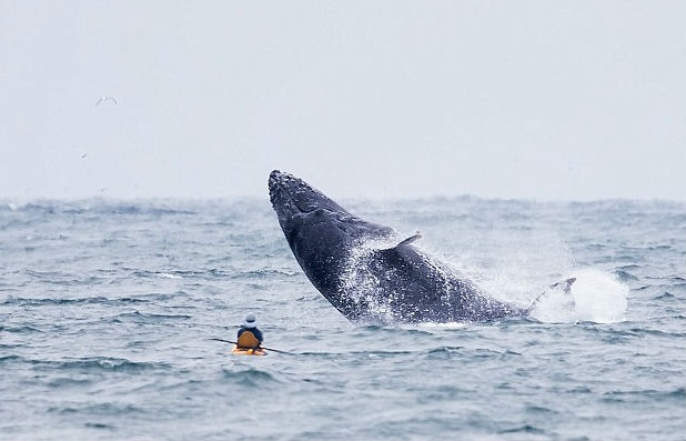 O mały włos... Niesamowite zdjęcia! - GospodarkaMorska.pl