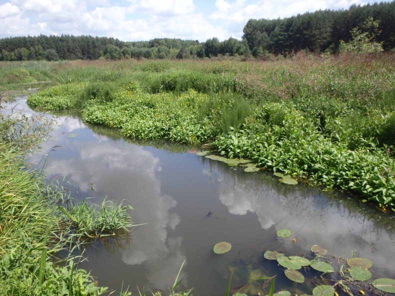 Mikroretencja na Opolszczyźnie – sensowny pomysł na walkę z suszą - GospodarkaMorska.pl