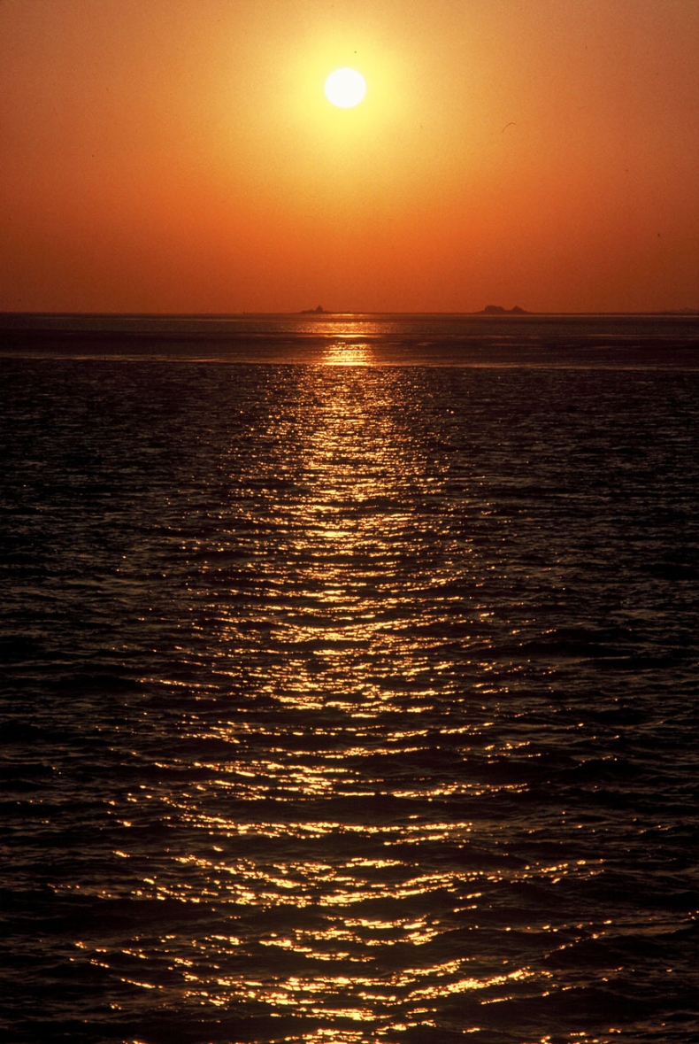 Ostatnia szansa dla ratowania mórz i oceanów - GospodarkaMorska.pl