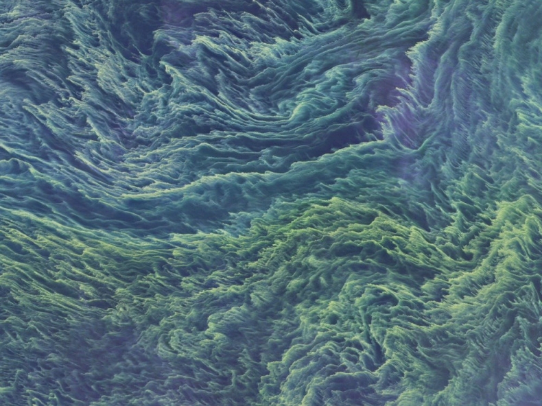 Tak wyglądał Bałtyk 11 sierpnia - GospodarkaMorska.pl