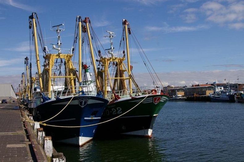 Rybacy chcą zakazu połowów na 5 lat. Naukowcy: winna natura - GospodarkaMorska.pl