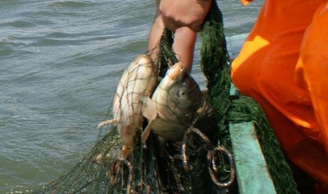 Czy minister Plocke stanie po stronie polskich rybaków? - GospodarkaMorska.pl