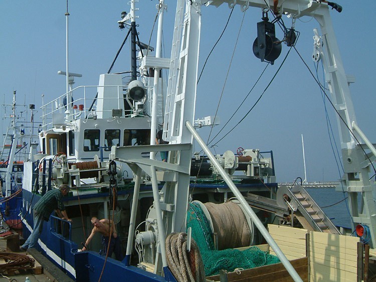 Oceana potępia decyzje Rady UE dot. limitów połowowych na Bałtyku w 2016 - GospodarkaMorska.pl