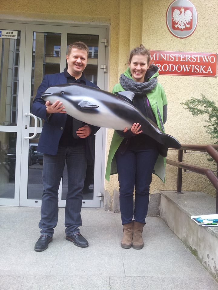 Program ochrony morświna zatwierdzony - GospodarkaMorska.pl
