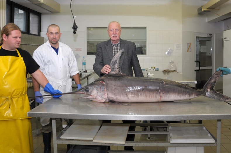 Niecodzienny okaz ryby złowiony na Bałtyku - GospodarkaMorska.pl