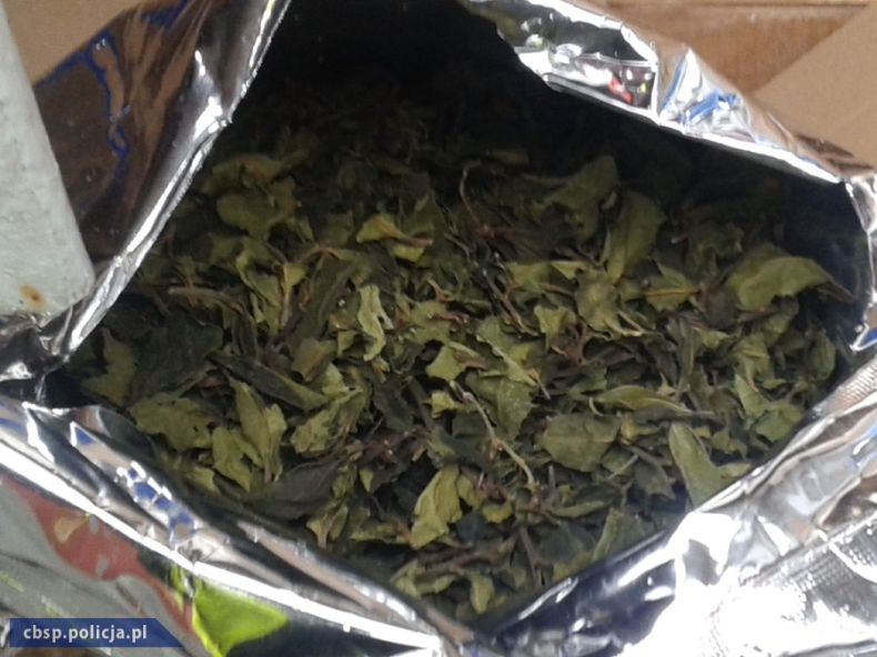 Gdańsk: Rekordowy przemyt narkotyków w kontenerze - GospodarkaMorska.pl