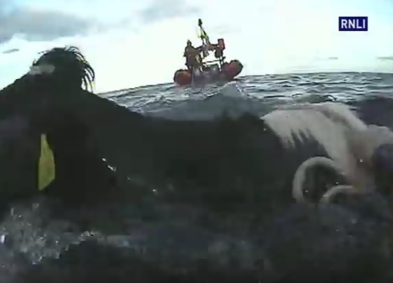 Ratunek dla krów uwięzionych w morzu (wideo) - GospodarkaMorska.pl