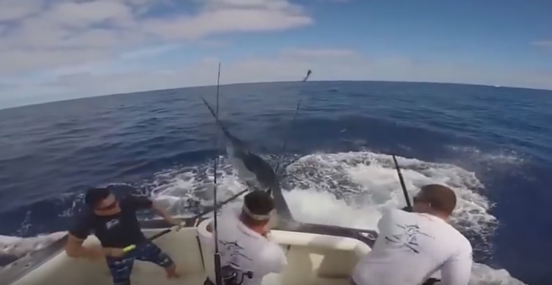 Ta wyprawa mogła skończyć się tragicznie (wideo) - GospodarkaMorska.pl