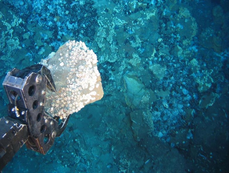 „Górnictwo morskie, głębokowodne może stać się w przyszłości wielkim atutem Polski i Pomorza Zachodniego” - GospodarkaMorska.pl