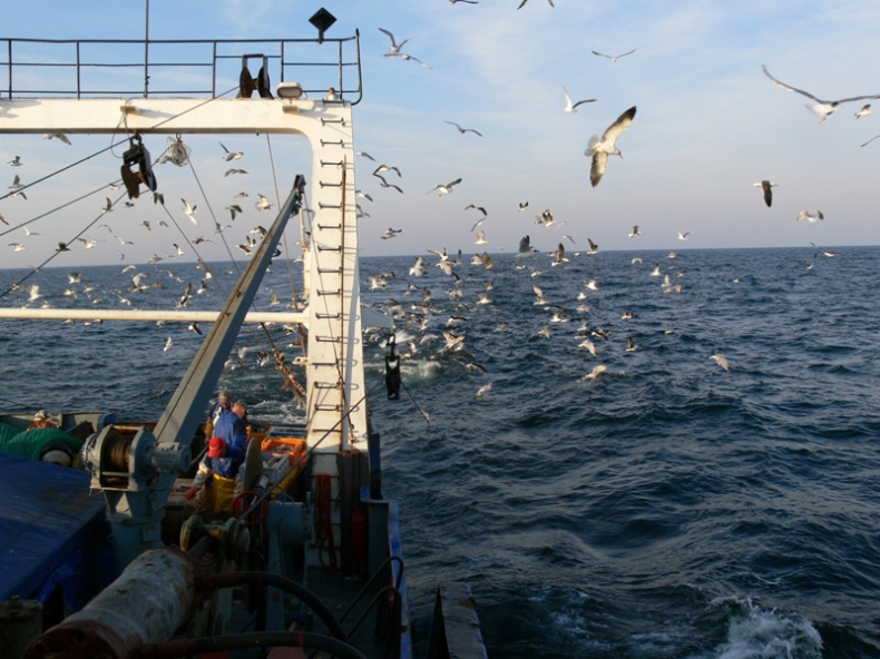 Rok 2016 w rybołówstwie. Czeka nas dużo zmian - GospodarkaMorska.pl