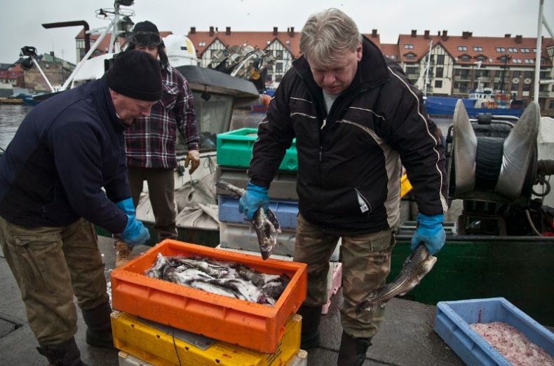 W 2015 roku o 14 procent wzrosły połowy ryb na Bałtyku - GospodarkaMorska.pl