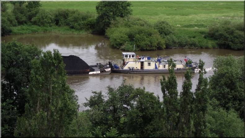 Zjednoczyli się dla Odry - GospodarkaMorska.pl