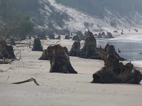 Niezwykłe odkrycie na plaży - GospodarkaMorska.pl