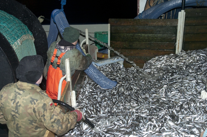 Rybacy nie chcą zamknięcia 6-milowej strefy połowowej - GospodarkaMorska.pl