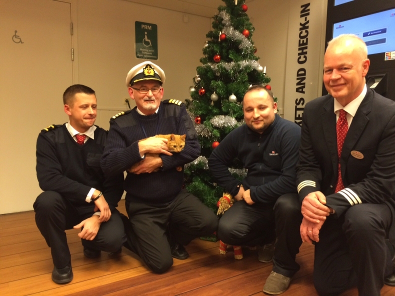 Kot - pasażer na gapę - ma nowy dom - GospodarkaMorska.pl