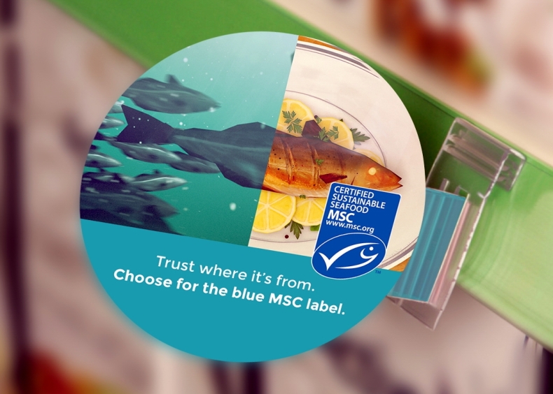 Prawie wszystkie produkty MSC są prawidłowo oznakowane - GospodarkaMorska.pl
