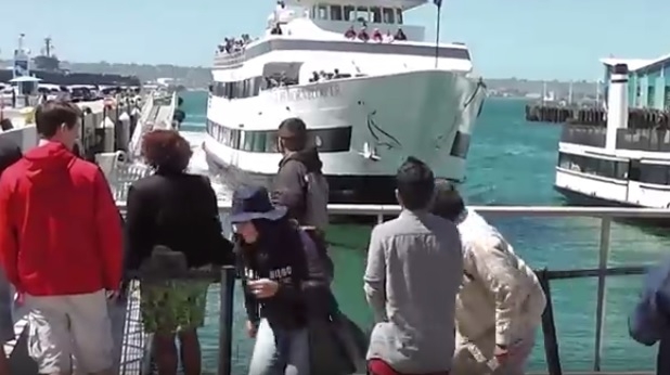 Statek wbił się w nabrzeże (wideo) - GospodarkaMorska.pl