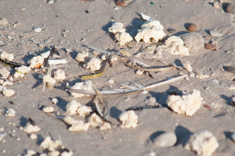 Polietylen wyrzucony na ustecką plażę - GospodarkaMorska.pl