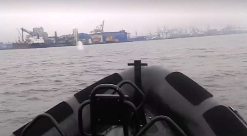 W gdyńskim porcie zauważono wieloryba - GospodarkaMorska.pl