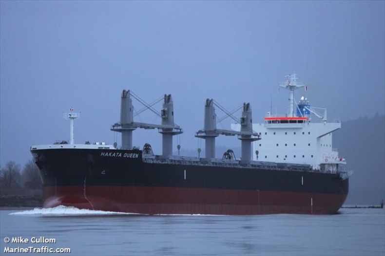 Masowiec płynący do gdyńskiego portu osiadł na mieliźnie - GospodarkaMorska.pl