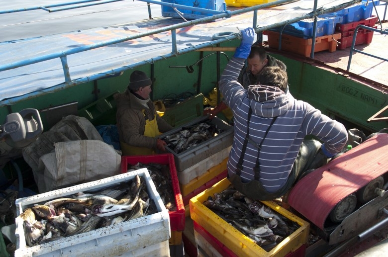 Sejm przyjął senackie poprawki do noweli dot. rozwoju sektora rybackiego - GospodarkaMorska.pl