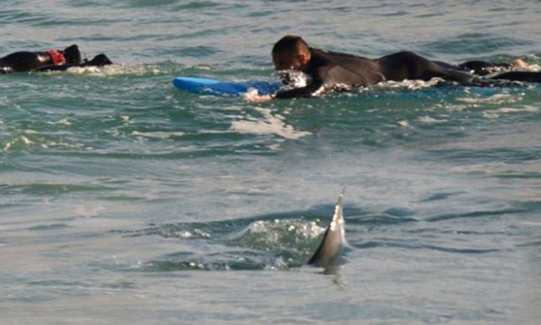 To się nazywa wrzucić szósty bieg! - GospodarkaMorska.pl