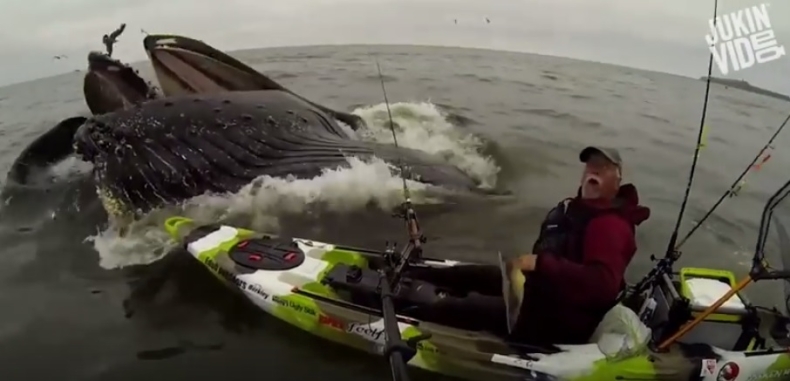 Bliżej chyba już się nie dało (wideo) - GospodarkaMorska.pl