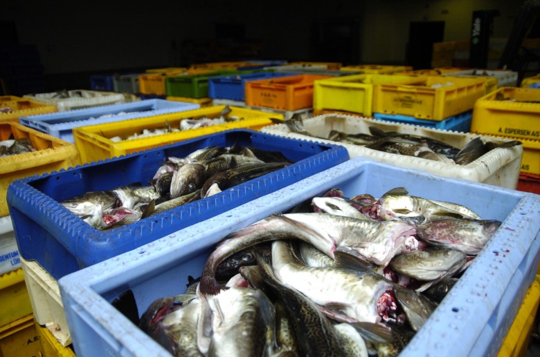 Rio 2016 serwuje ryby z odpowiedzialnych zrównoważonych połowów - GospodarkaMorska.pl