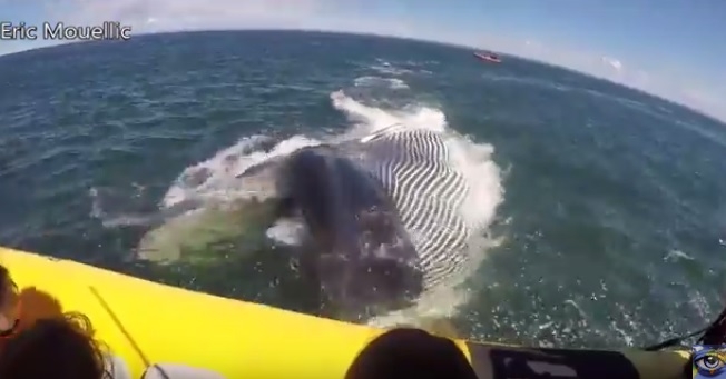 To mogło skończyć się tragicznie (wideo) - GospodarkaMorska.pl