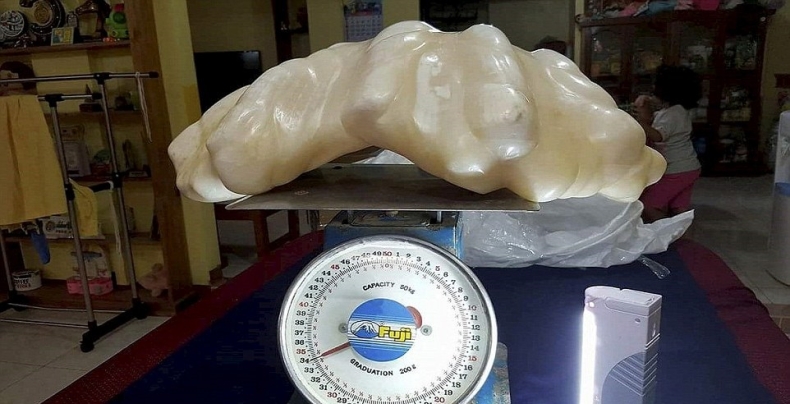 Co za znalezisko! - GospodarkaMorska.pl