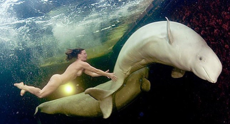 Pływa nago z wielorybami w lodowatych wodach arktycznych (wideo) - GospodarkaMorska.pl