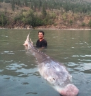 Złowiono 300-kilogramowego olbrzyma (wideo)