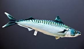 „Bohater miesiąca” , czyli najnowsza akcja MSC i Targu Rybnego - GospodarkaMorska.pl