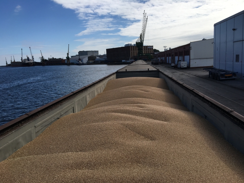 Pierwszy w Polsce przeładunek wagonów TAMS ze zwijanym dachem - GospodarkaMorska.pl