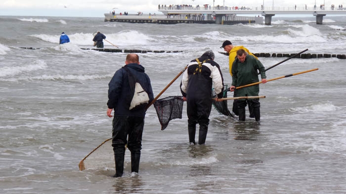 Nad Bałtykiem szukają bursztynu. To dochodowy interes - GospodarkaMorska.pl