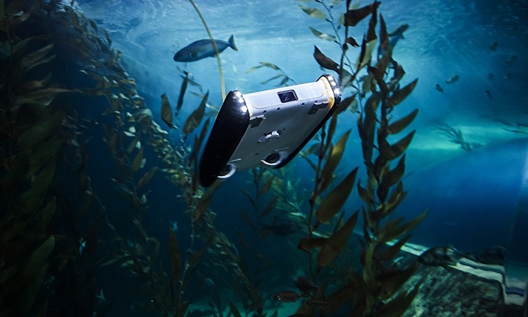 Polski dron podwodny - GospodarkaMorska.pl