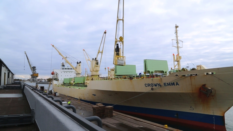 Ponad 5 000 t bananów w gdańskim porcie (wideo) - GospodarkaMorska.pl