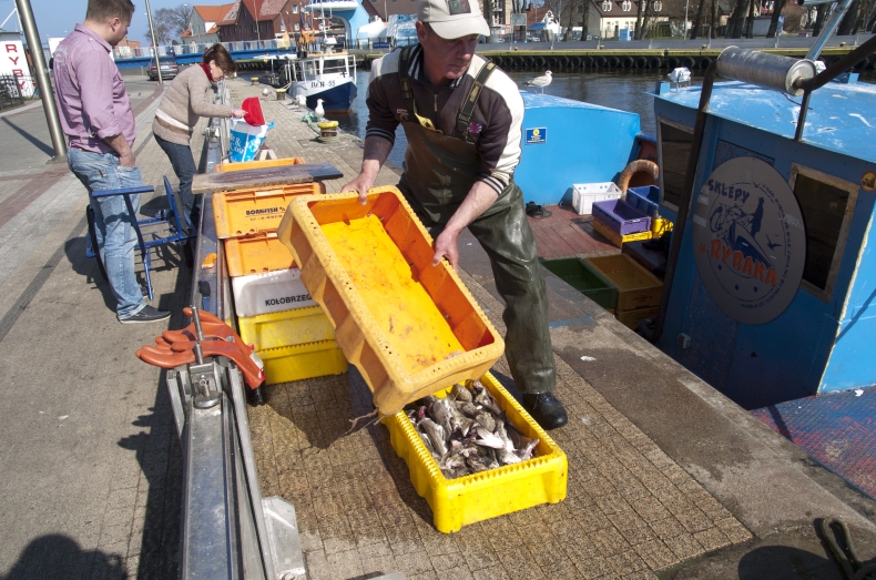 Komisja Europejska przyznaje, że zasoby dorsza w Bałtyku są zagrożone - GospodarkaMorska.pl