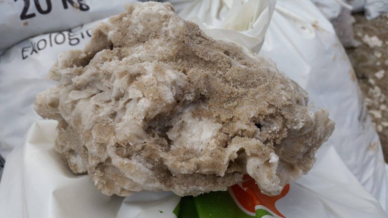 Białe bryły na bałtyckich plażach. To nie lód (foto) - GospodarkaMorska.pl