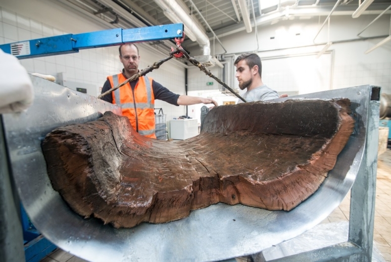 Konserwacja dłubanki z X wieku na UMK w Toruniu - GospodarkaMorska.pl