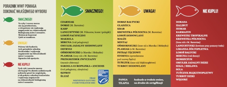Jakie ryby kupować? Nowy poradnik już dostępny - GospodarkaMorska.pl