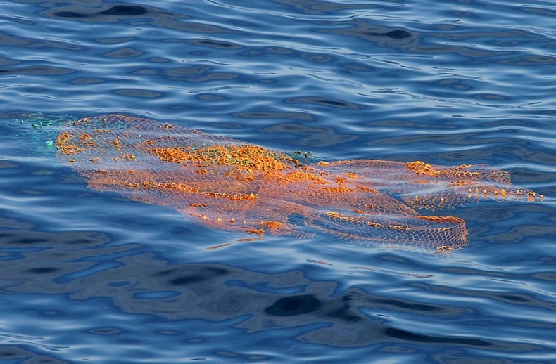 Konferencja inaugurująca projekt Marelitt Baltic - GospodarkaMorska.pl