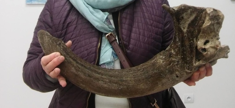 Niezwykłe znalezisko na plaży w Łukęcinie - GospodarkaMorska.pl